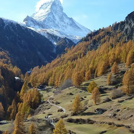 Panoramic View Flat *