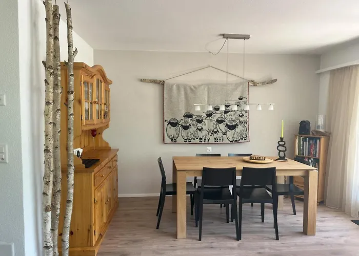 Panoramic View Flat * 采尔马特